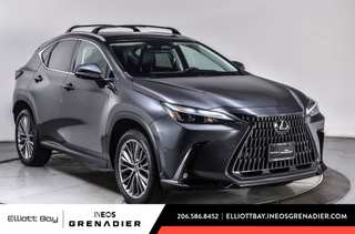 2023 Lexus NX 350 Luxury