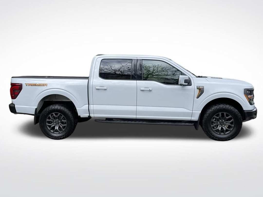 2025 Ford F-150 Tremor - Image 3