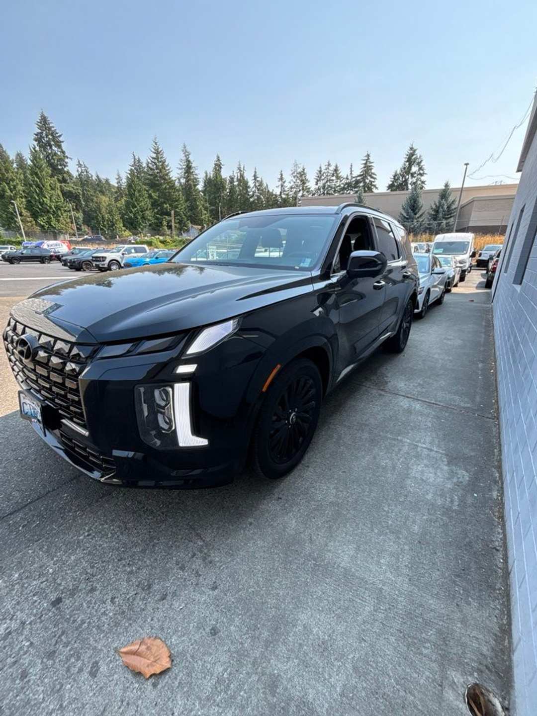 2025 Hyundai Palisade Calligraphy Night Edition - Image 2