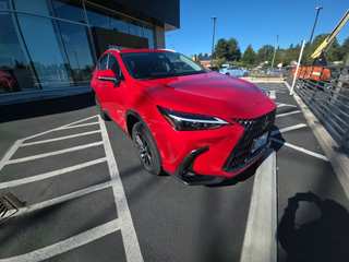 2023 Lexus NX 350h Premium
