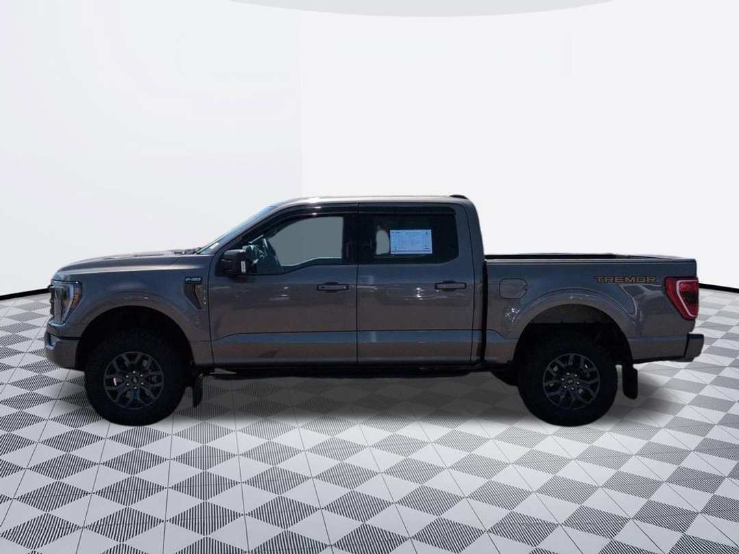 2023 Ford F-150 Tremor - Image 2