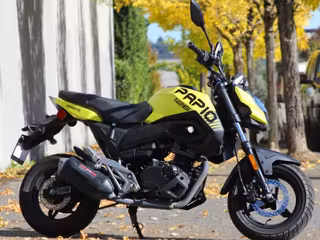 2023 CFMOTO Papio