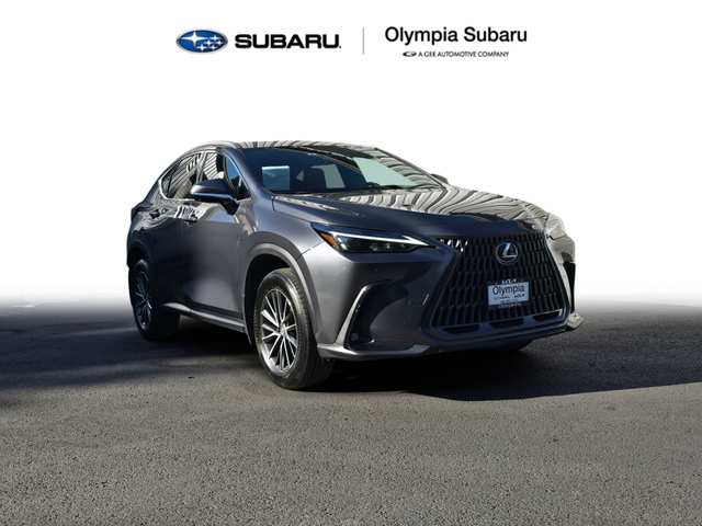 2024 Lexus NX 350 Premium