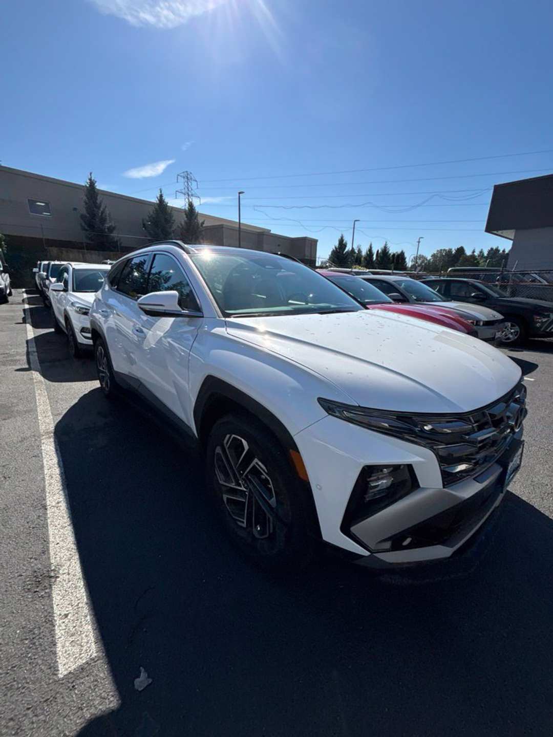 2025 Hyundai Tucson Limited - Image 3