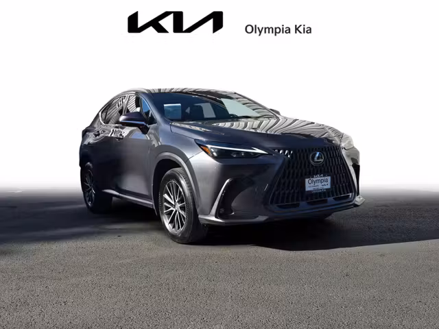 2024 Lexus NX 350 Premium