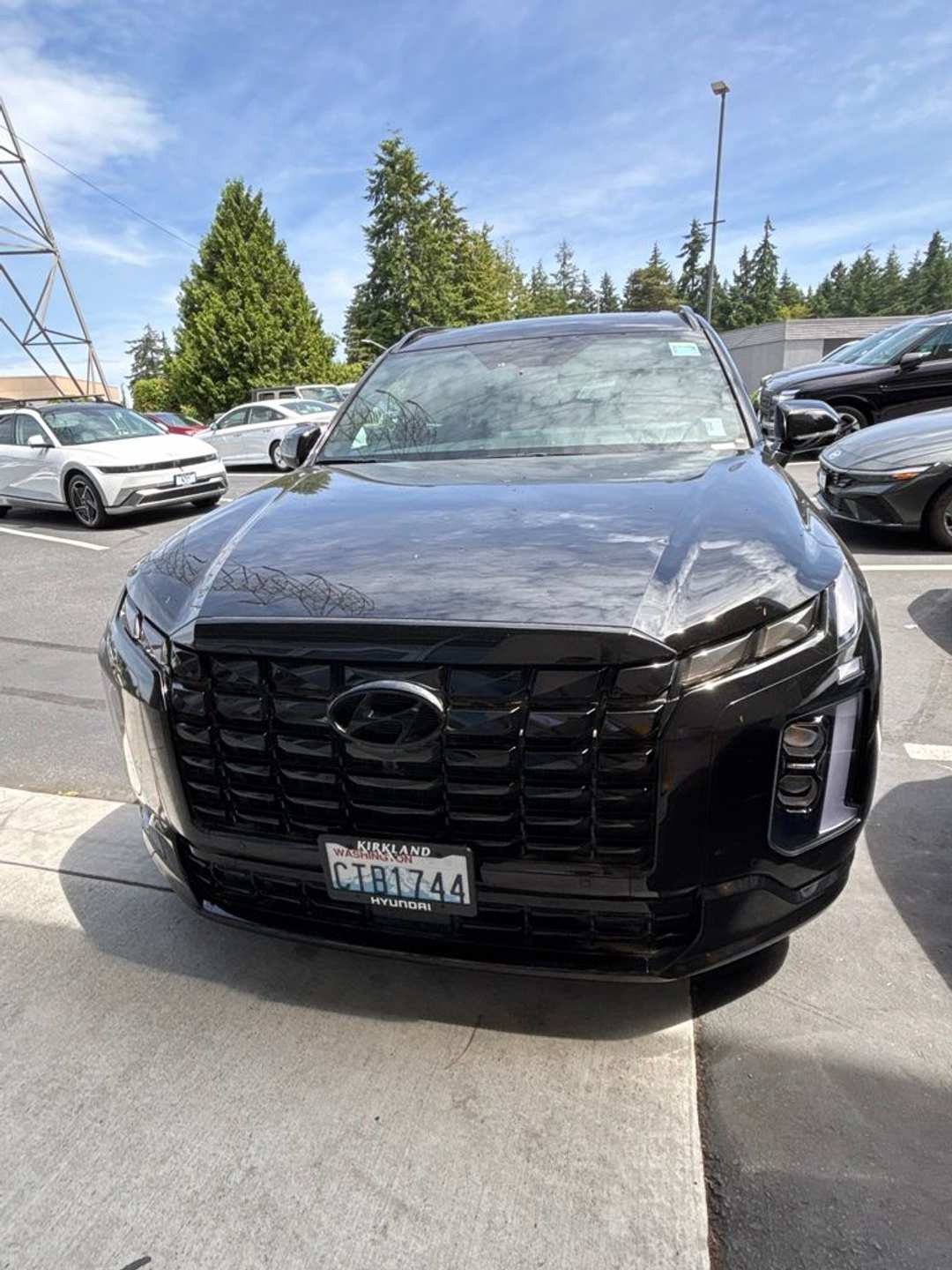 2025 Hyundai Palisade Calligraphy Night Edition - Image 2