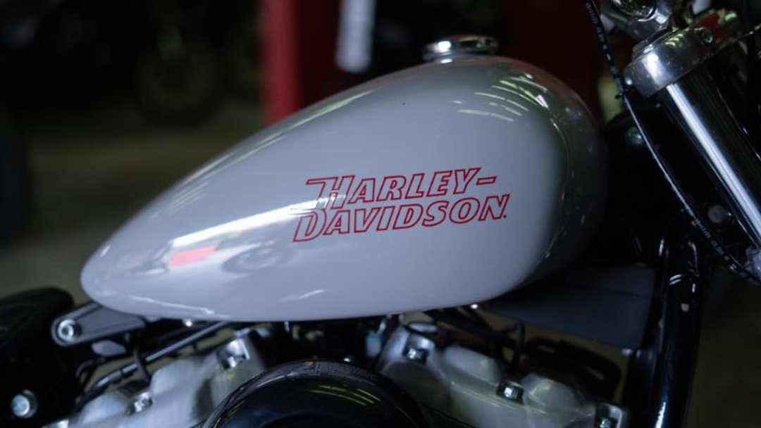 2024 HARLEY Fxst - Softail Standard - Image 2