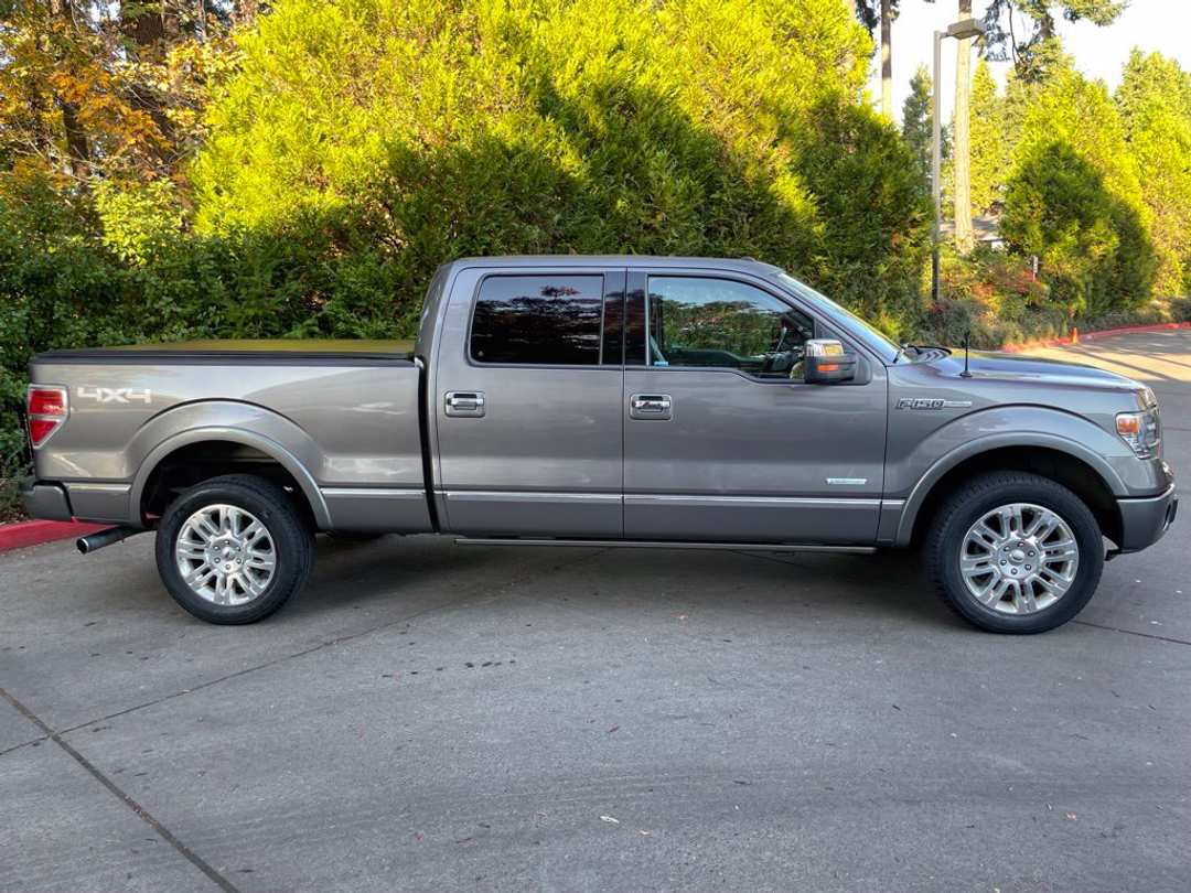 2014 Ford F-150 Platinum - Image 3