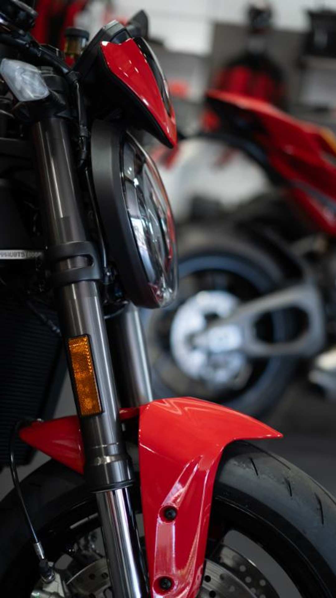 2026 Ducati Monster Plus V2 - Image 2