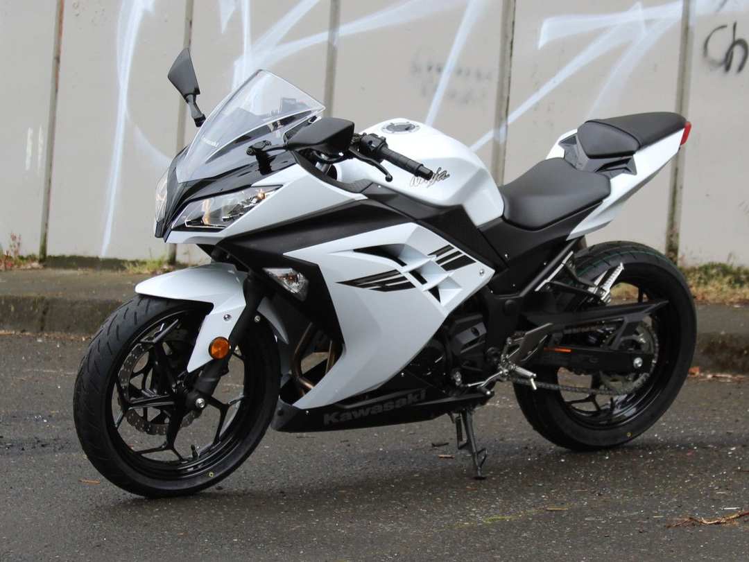 2017 Kawasaki Ninja 300 - Image 3