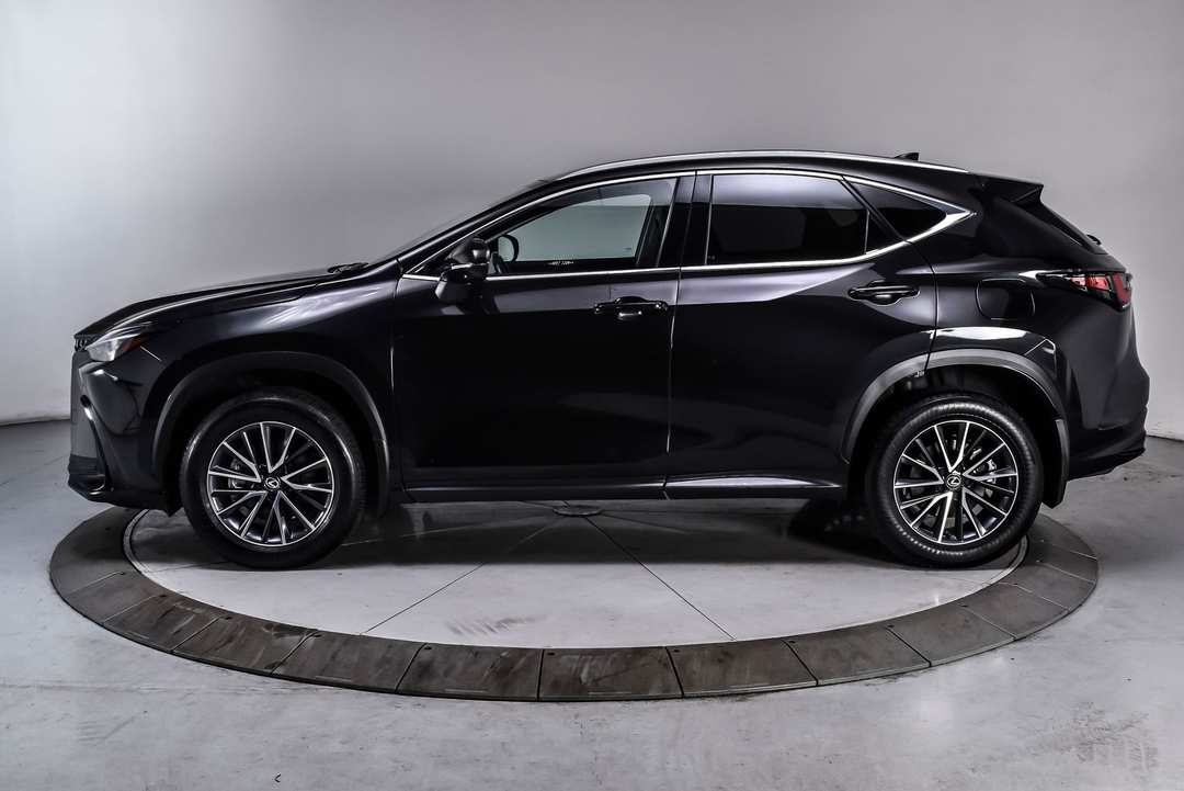 2025 Lexus NX 350h Premium - Image 3