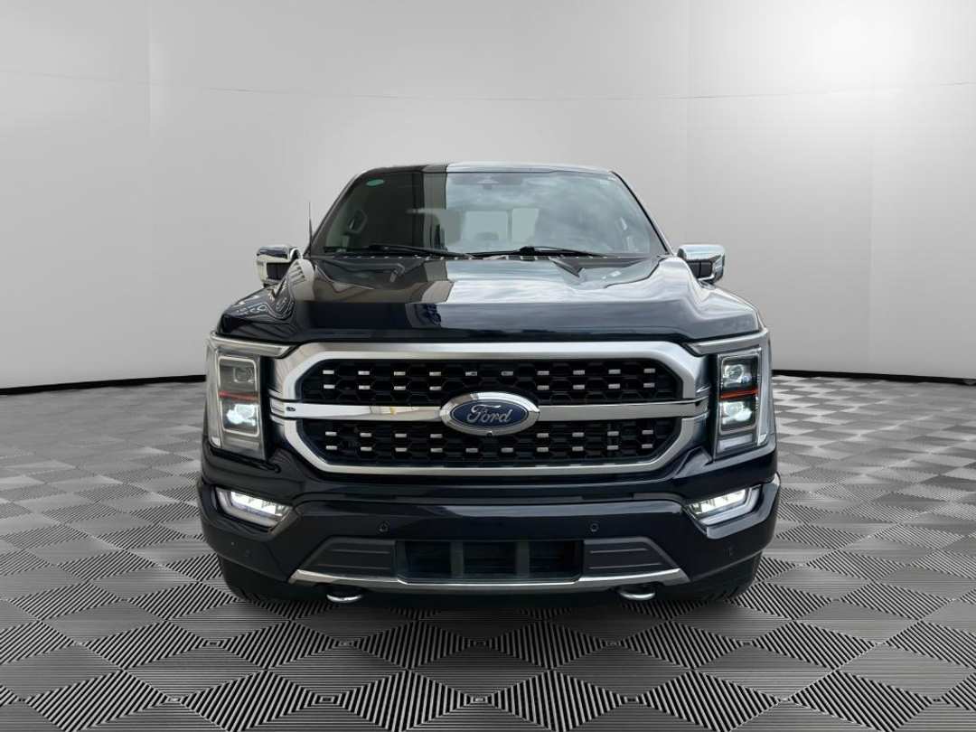 2023 Ford F-150 Platinum - Image 2